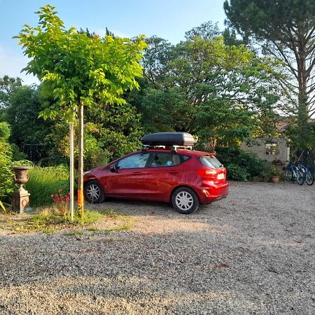 Le Jardin Hotel Montelimar Bagian luar foto